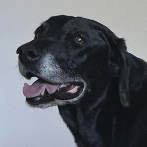 Meet your Posher, Nichole